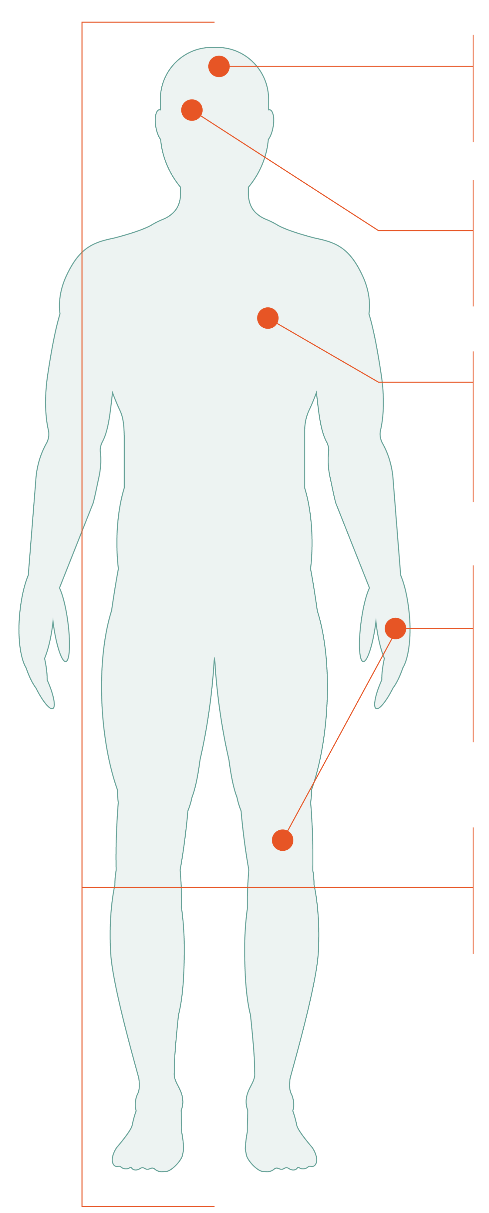 Health & Nutrition Benefits of Farmed Salmon Chilean Salmon Marketing