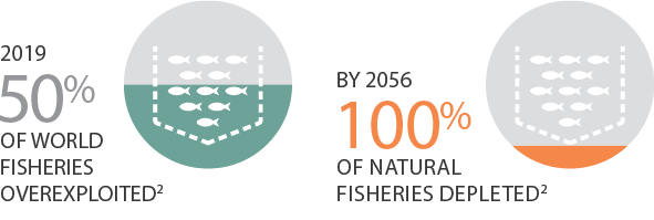 Farmed salmon statistics: 2019 50% of world fisheries overexploited. By 2056 10% of natural fisheries depleted