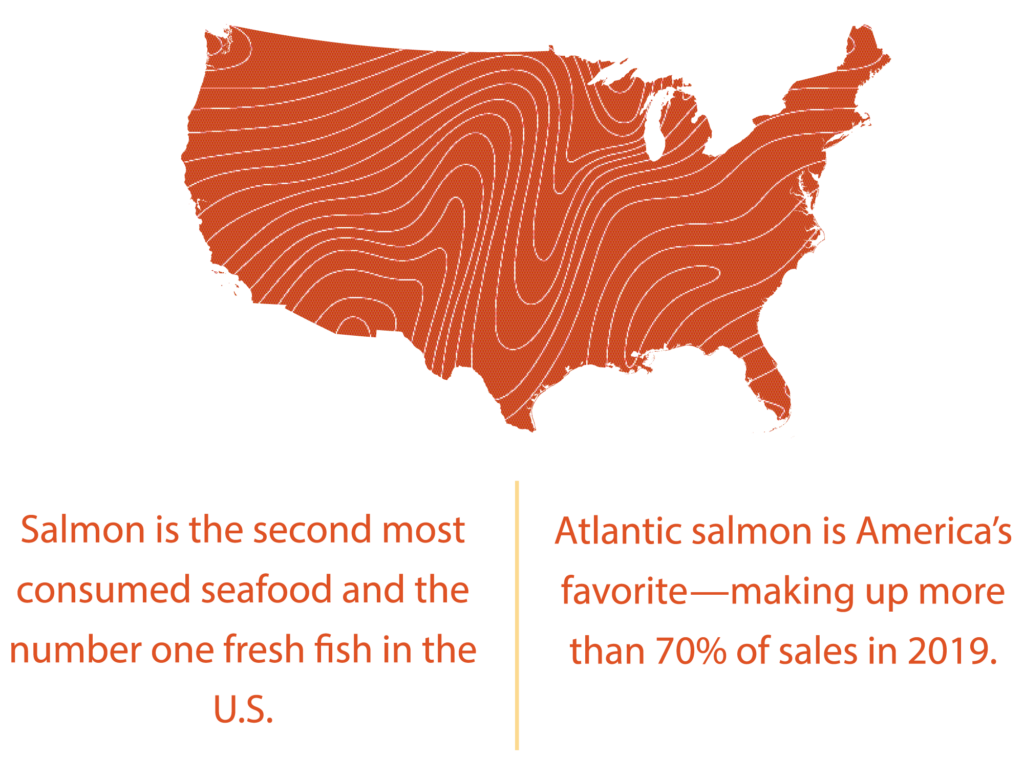 Chilean Salmon statistics: Salmon is the second most consumed seafood and the number one fresh fish in the U.S. Atlantic salmon is America's favorite-making up more than 70% of sales in 2019