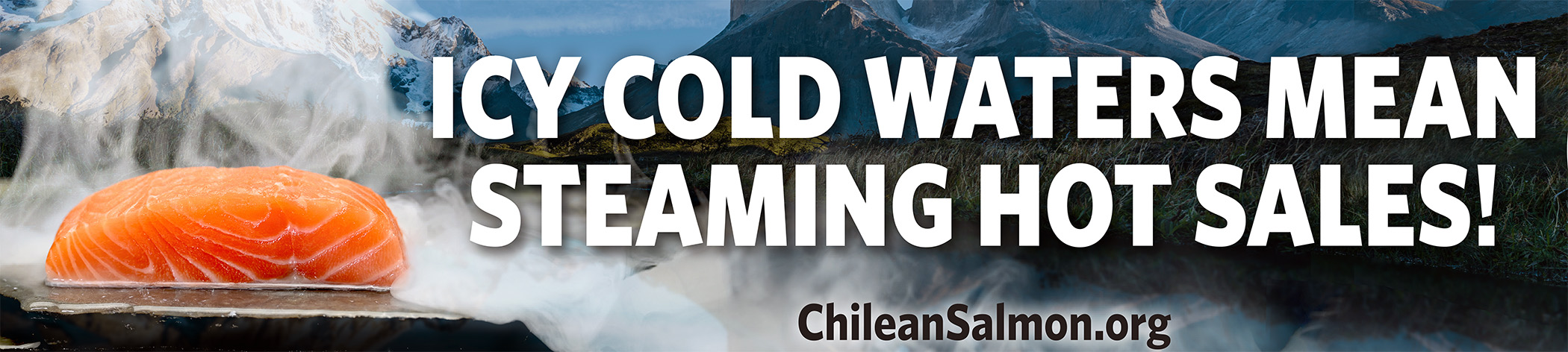 Chilean Salmon Steaming Hot Sales