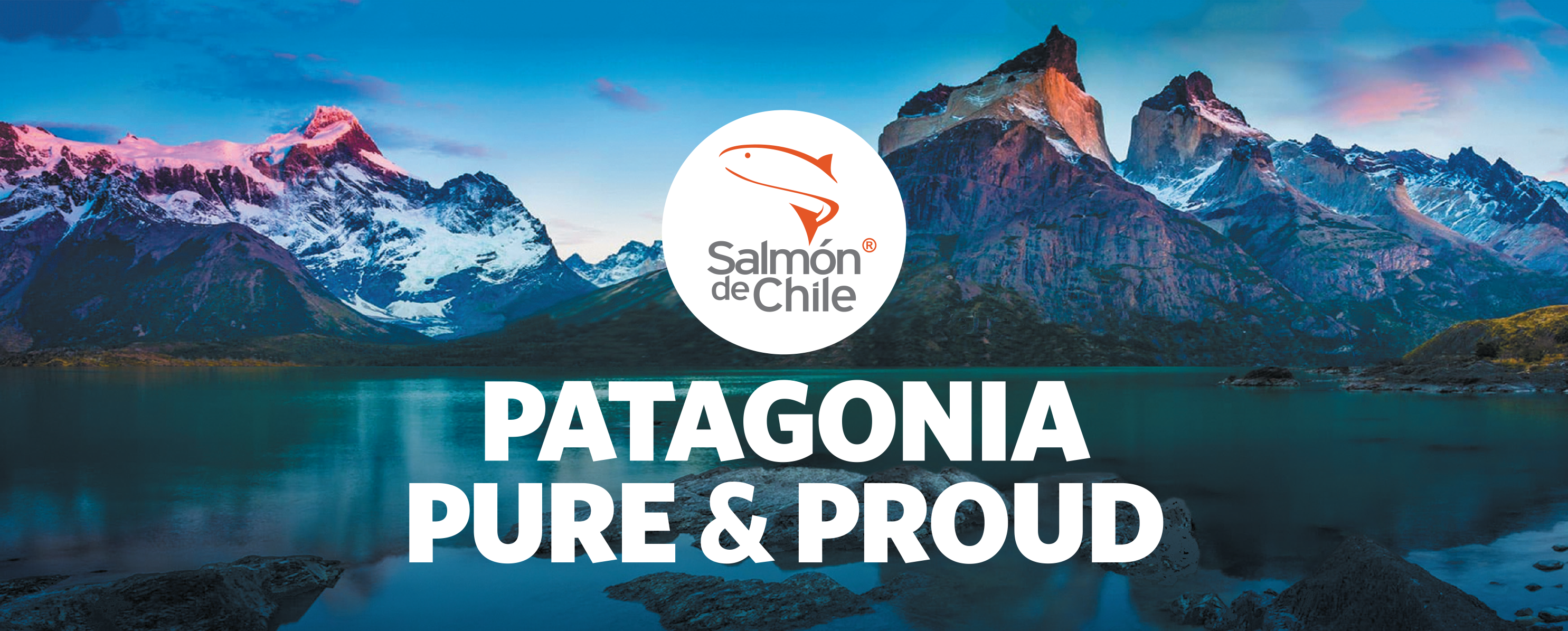 Patagonia Pure and Proud