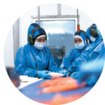 Workers at a salmon processing facility